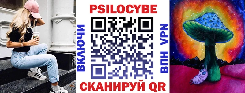 Купить где  Октябрьский  Псилоцибиновые грибы Psilocybine cubensis 